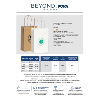 image of Paper Bag Flyers flyer