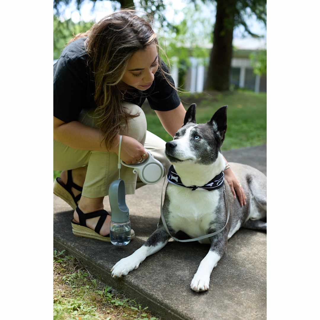 PawFlex Retractable Pet Leash