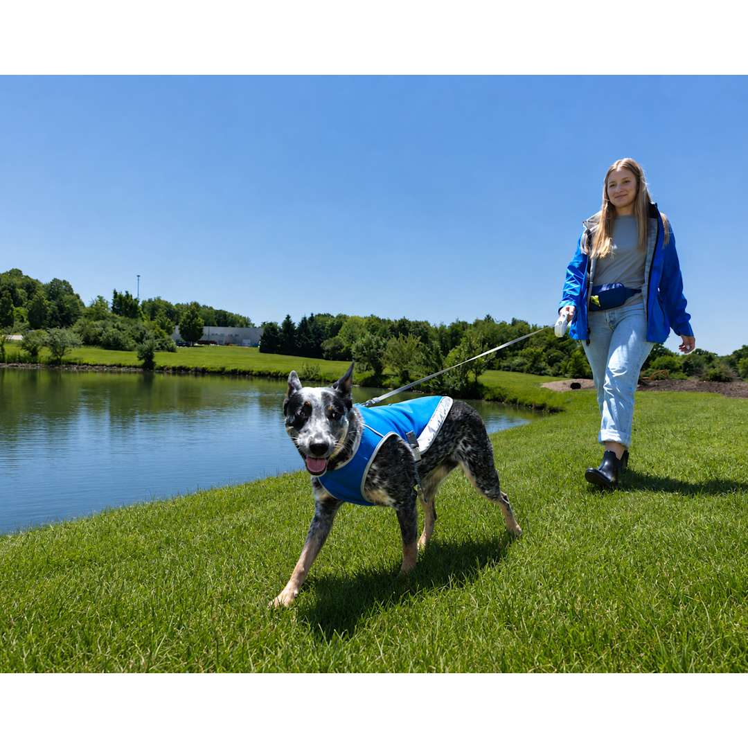 Paws & Claws Reflective Pet Vest (Large)