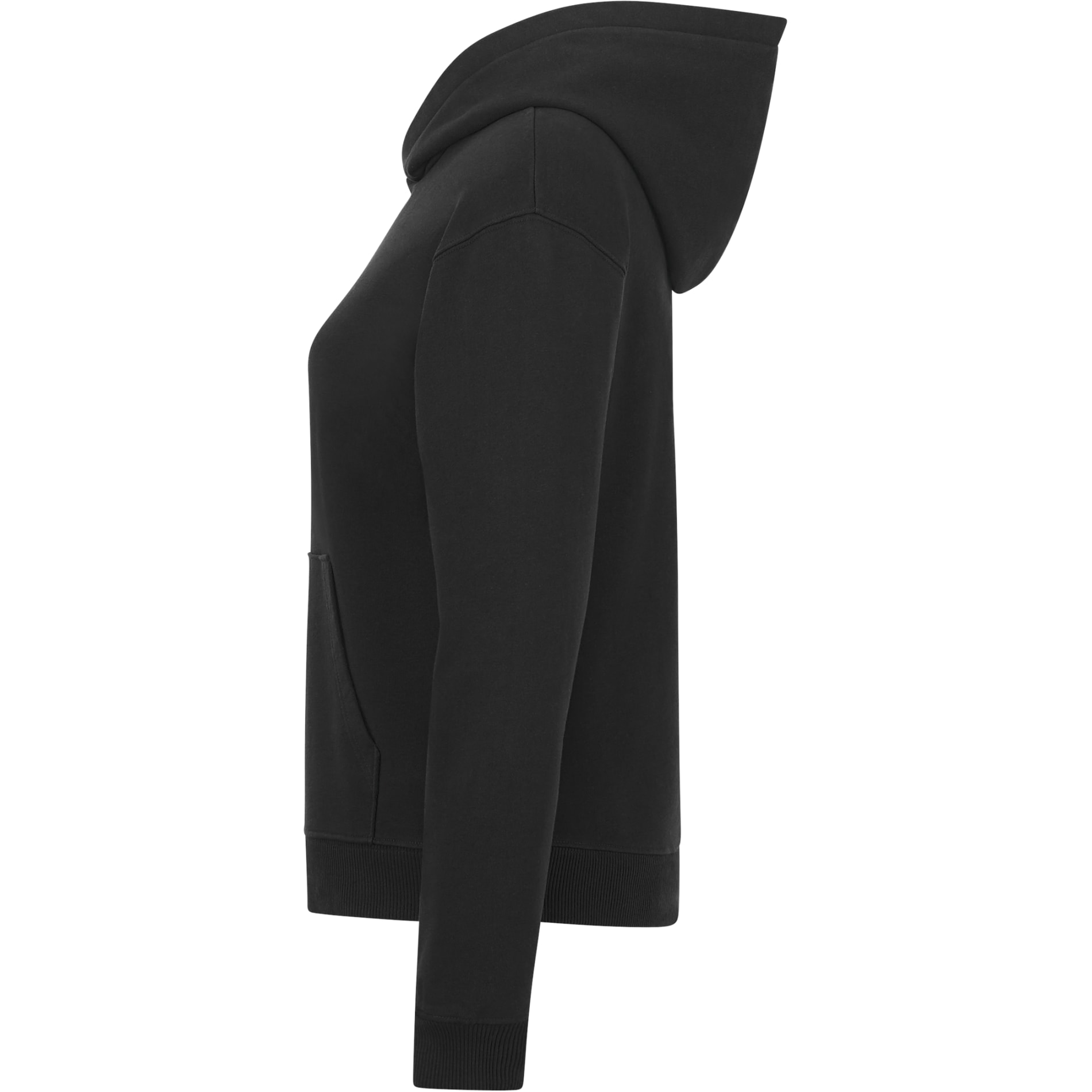 tentree Organic Cotton Classic Hoodie - Women's 151